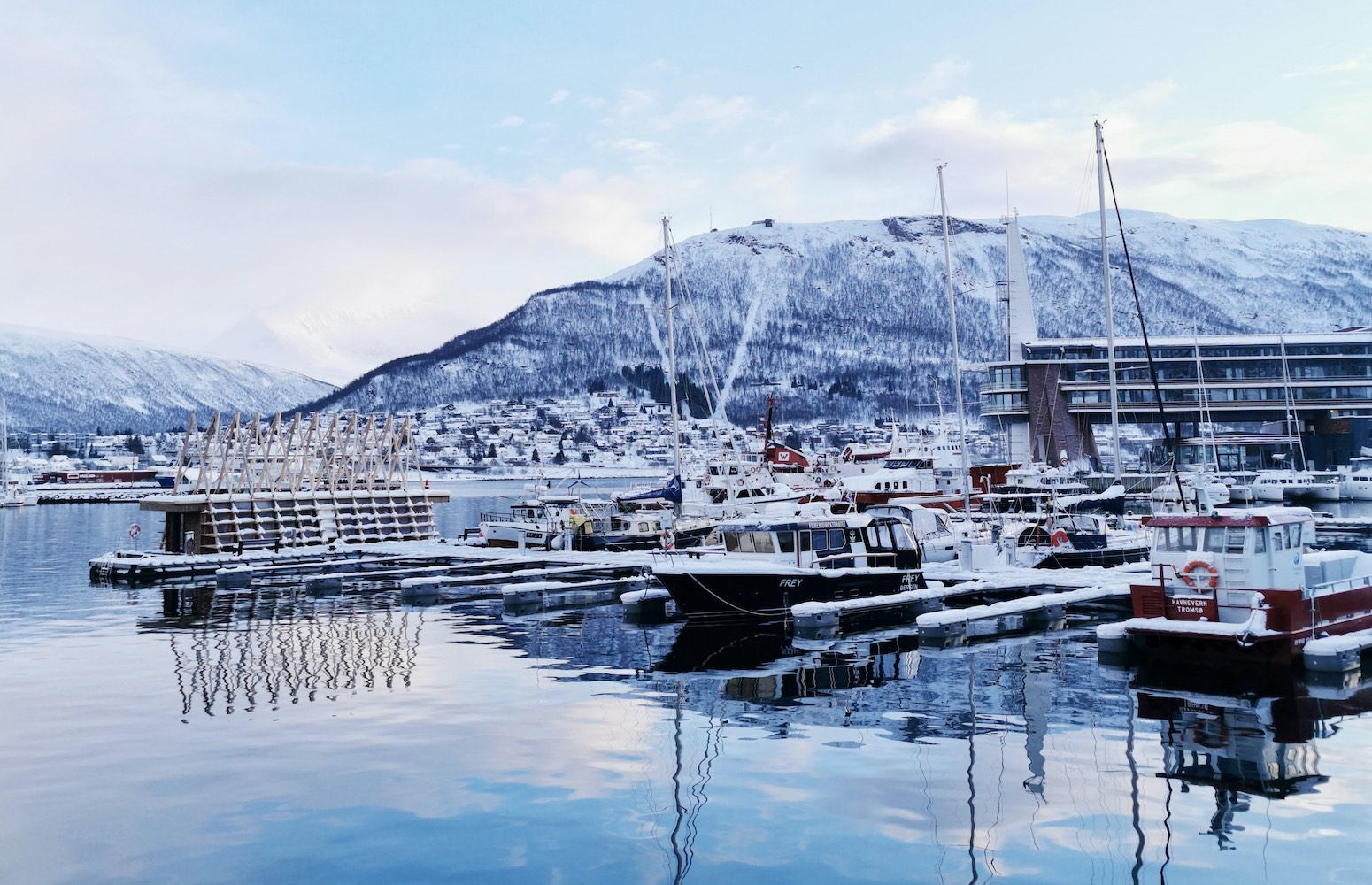 Viaje a Noruega con ballenas y auroras boreales